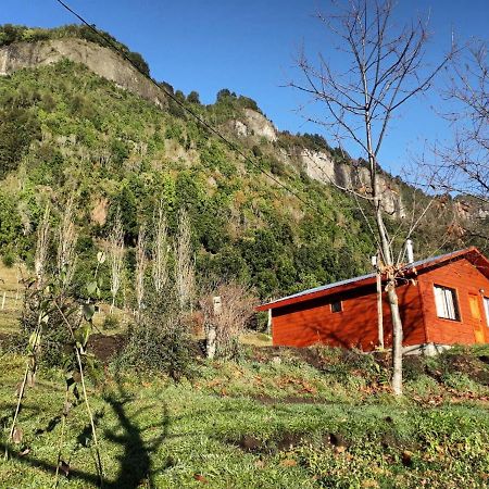 Hôtel Don Patricio à Coñaripe Extérieur photo